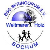 Logo: BSG Springorum e. V.